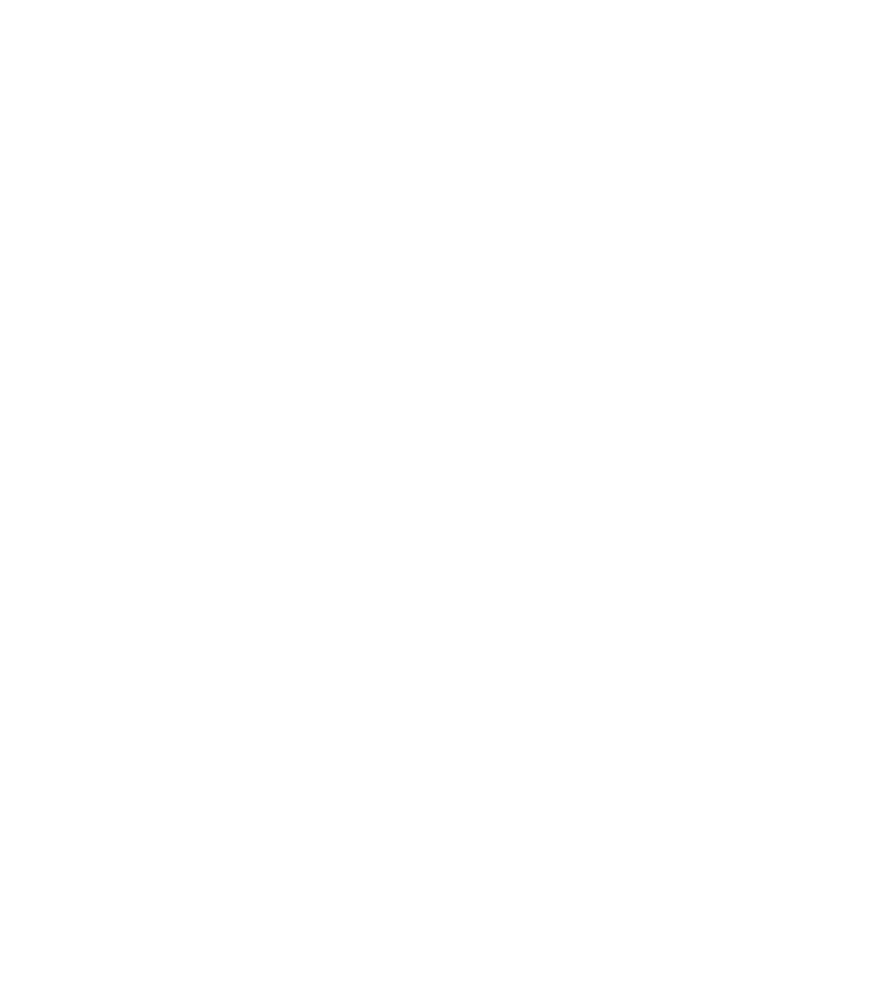 Artisan Outdoor Craftsman Logo White