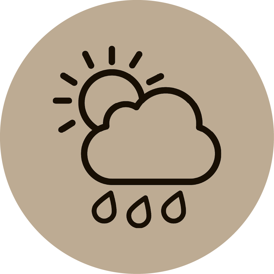 Weather Icon